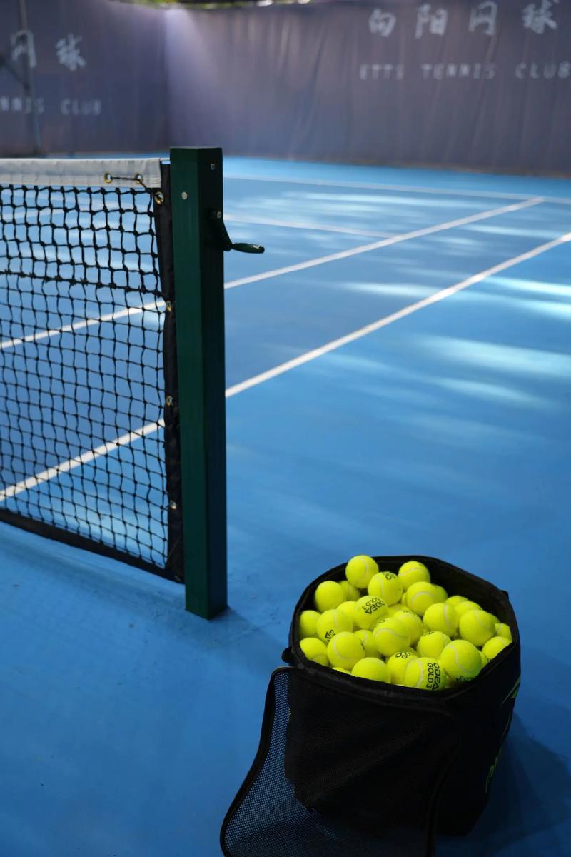 能更直观地 能更直观地